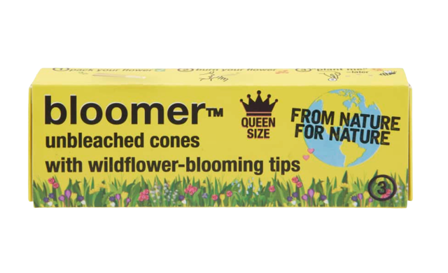 bloomer™ queen size paper cones - unbleached