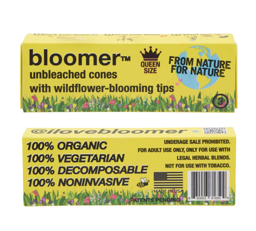 bloomer™ queen size paper cones - unbleached