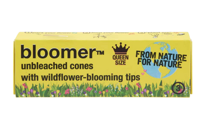 bloomer™ queen size paper cones - unbleached